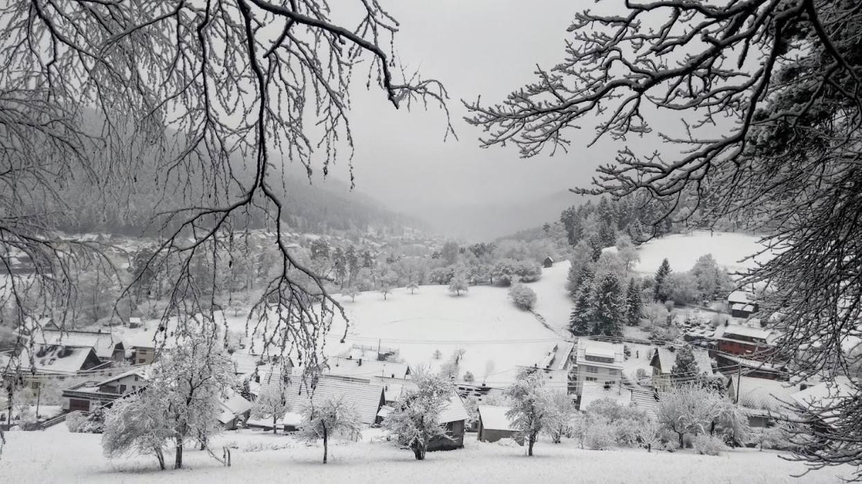 Zimmer mit Aussicht Enzklösterle Exterior foto